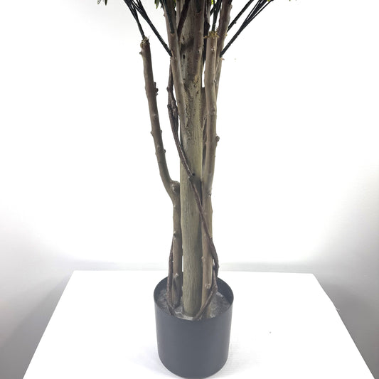 Mini Rivera topiary 49"