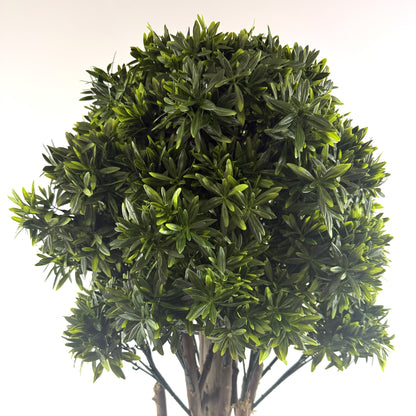 Mini Rivera topiary 49"