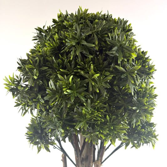 Mini Rivera topiary 49"
