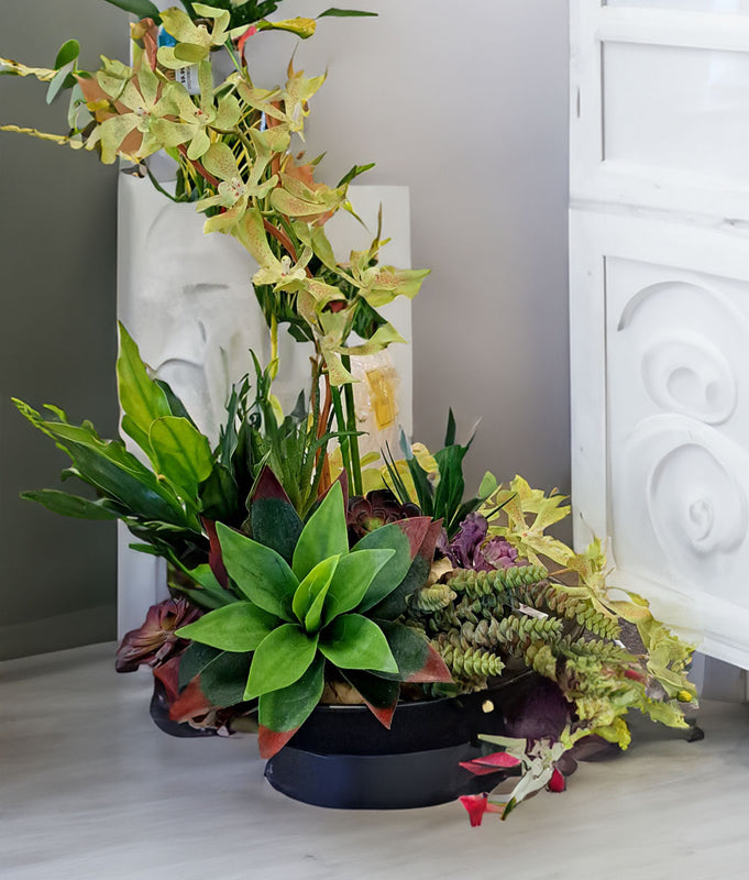 Modern Orchid in dish vase