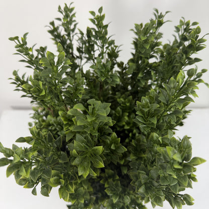 Needle Grass Table Top