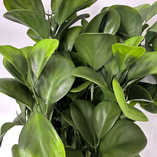 Noble bush green 20" pack of 2