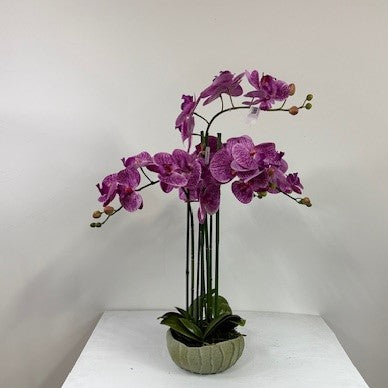 Phalaenopsis orchid real touch lavendar