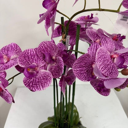 Phalaenopsis orchid real touch lavendar