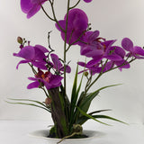 Phalaenopsis orchid real touch