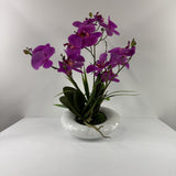 Phalaenopsis orchid real touch