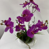 Phalaenopsis orchid real touch