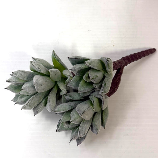 Frosted Pineapple succulent (set of three)