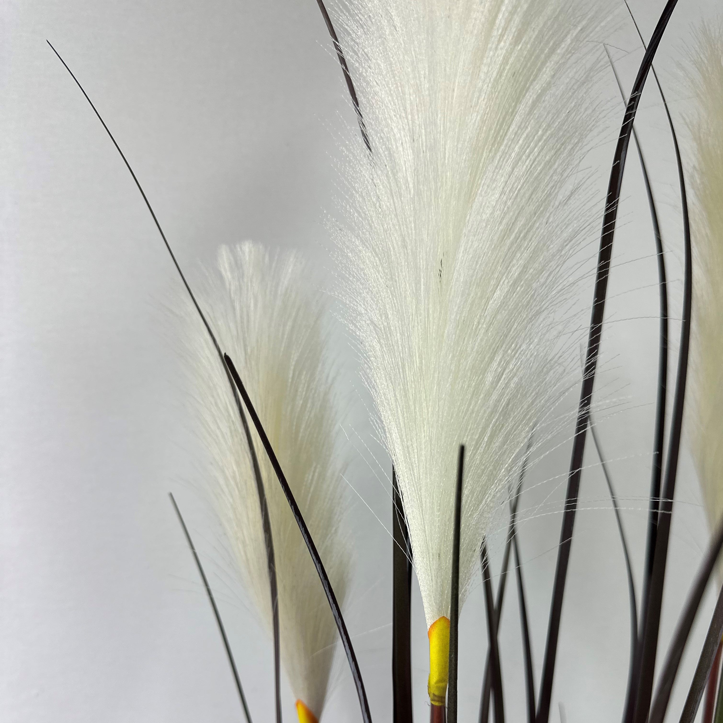 Pampas grass with plume 60". 5 plums"