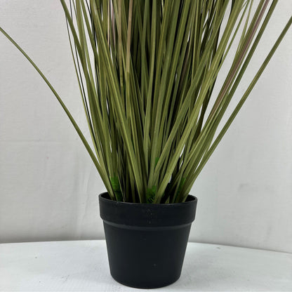 Savanna Lion Grass 50" w 7 plumes