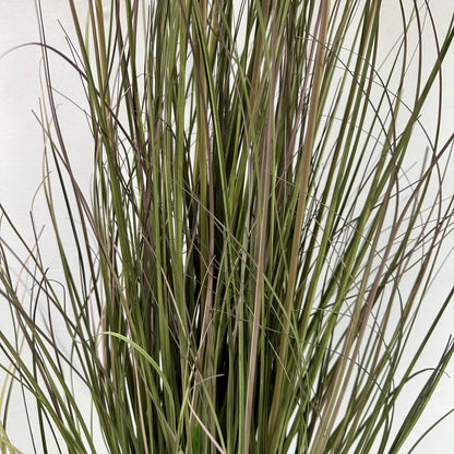 Savanna Lion Grass 50" w 7 plumes