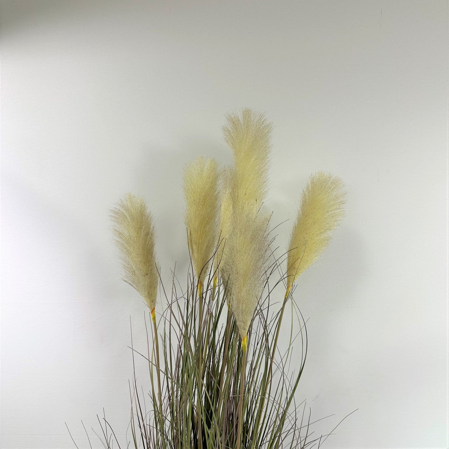 Savanna Lion Grass 50" w 7 plumes