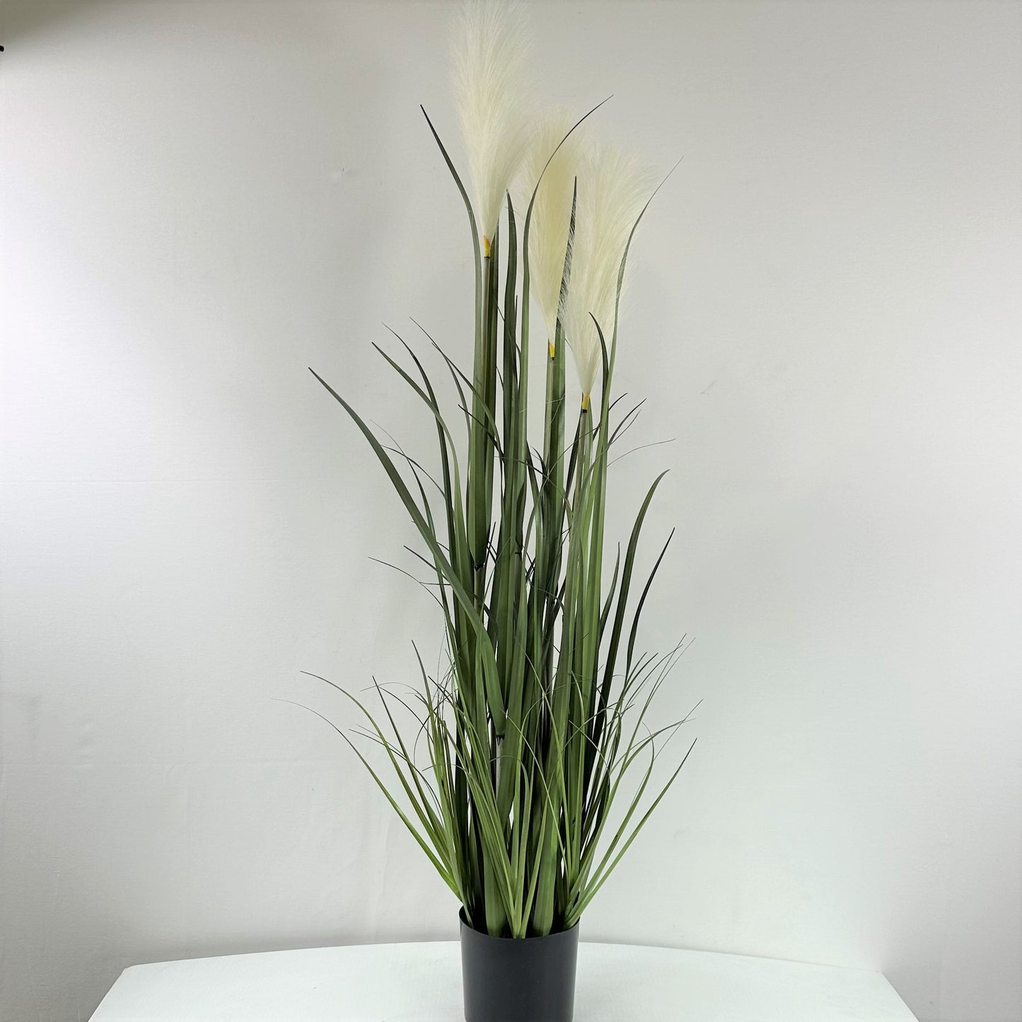 Pampas grass with plume 39"