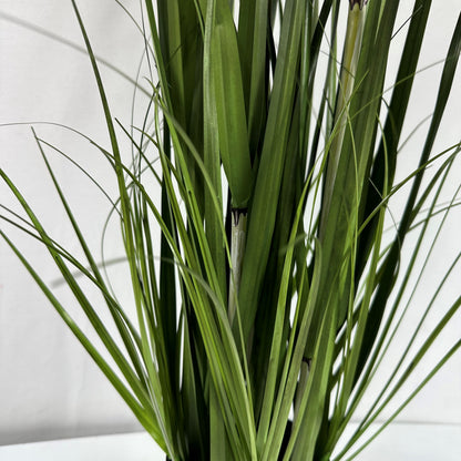 Pampas grass with plume 39"