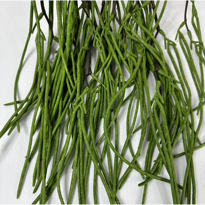 Pod vine set of (set of two)