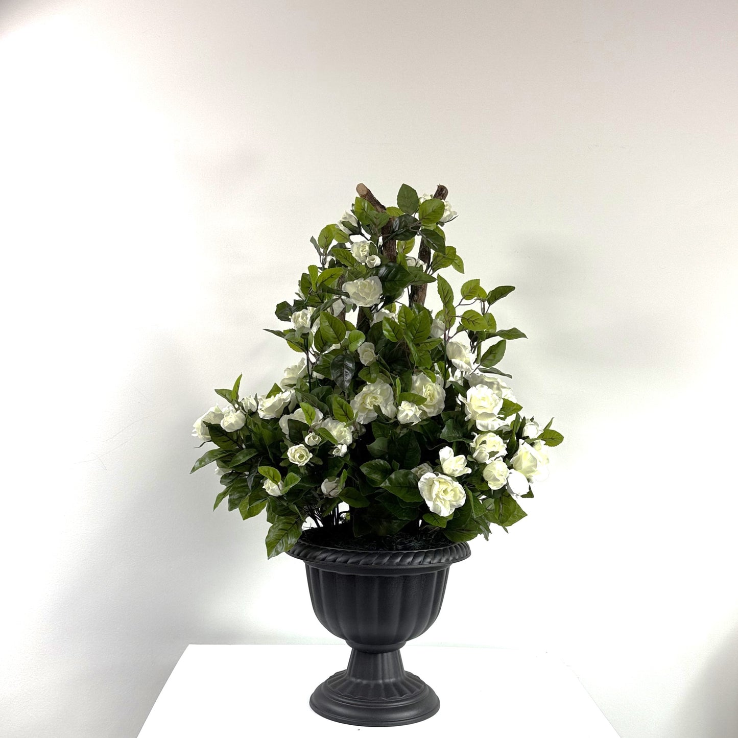 Rose bush UV protected (instore pick up only)