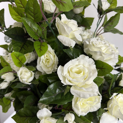 Rose bush UV protected (instore pick up only)