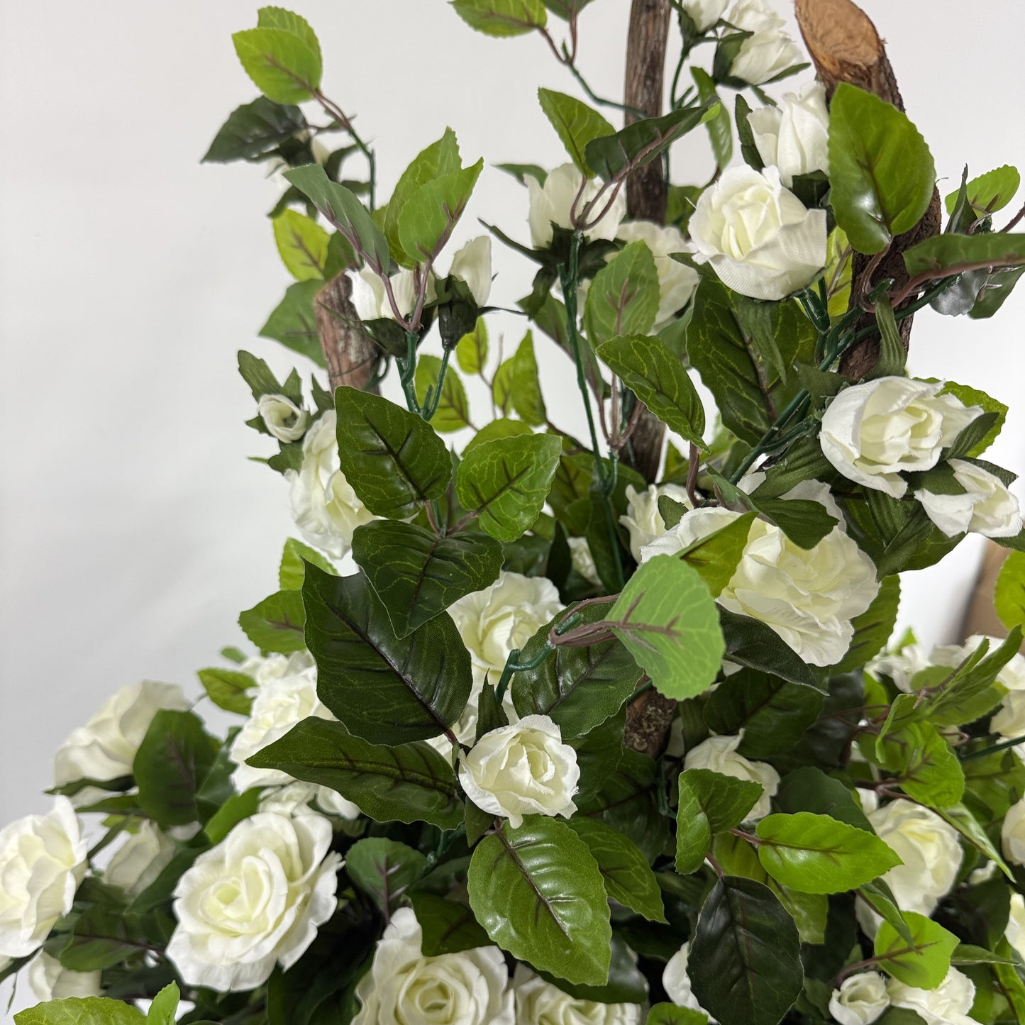 Rose bush UV protected (instore pick up only)