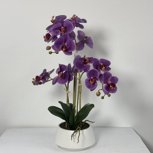 Orchid Real Touch in white vase