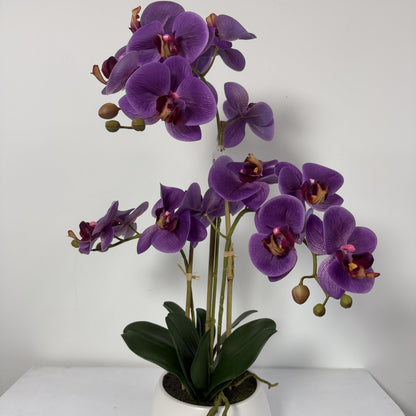 Orchid Real Touch in white vase