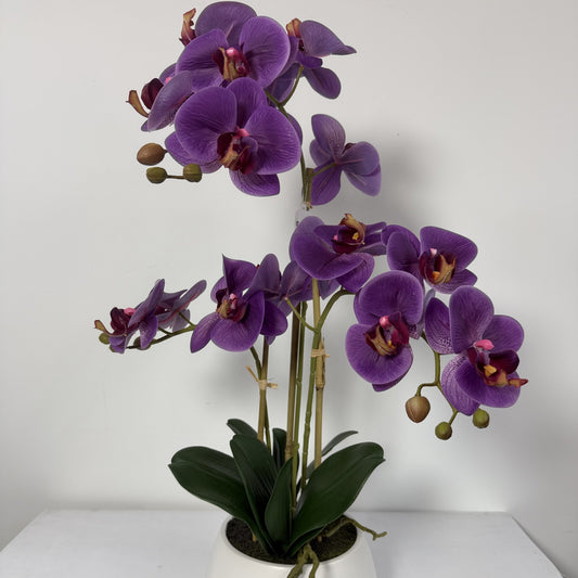 Orchid Real Touch in white vase