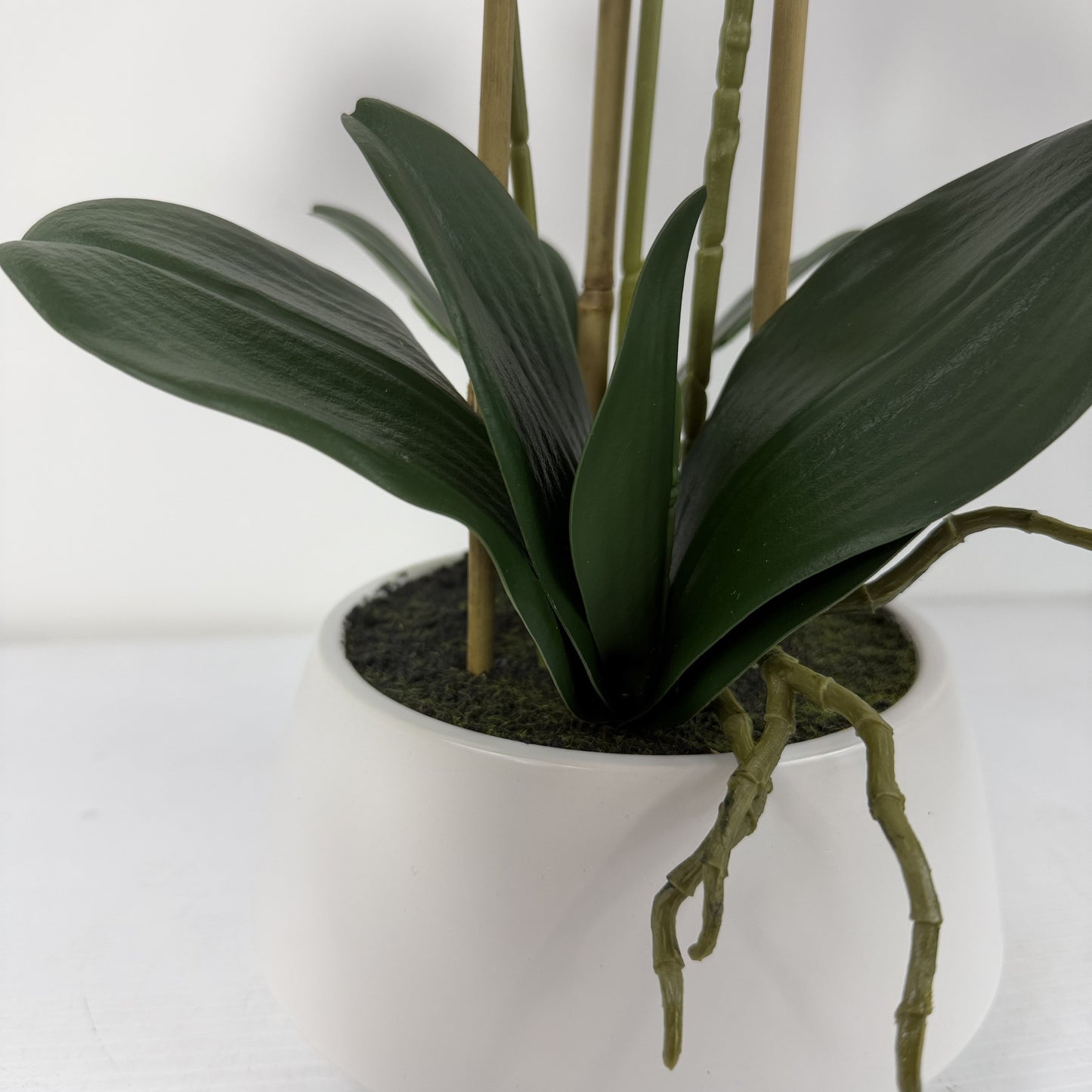 Orchid Real Touch in white vase