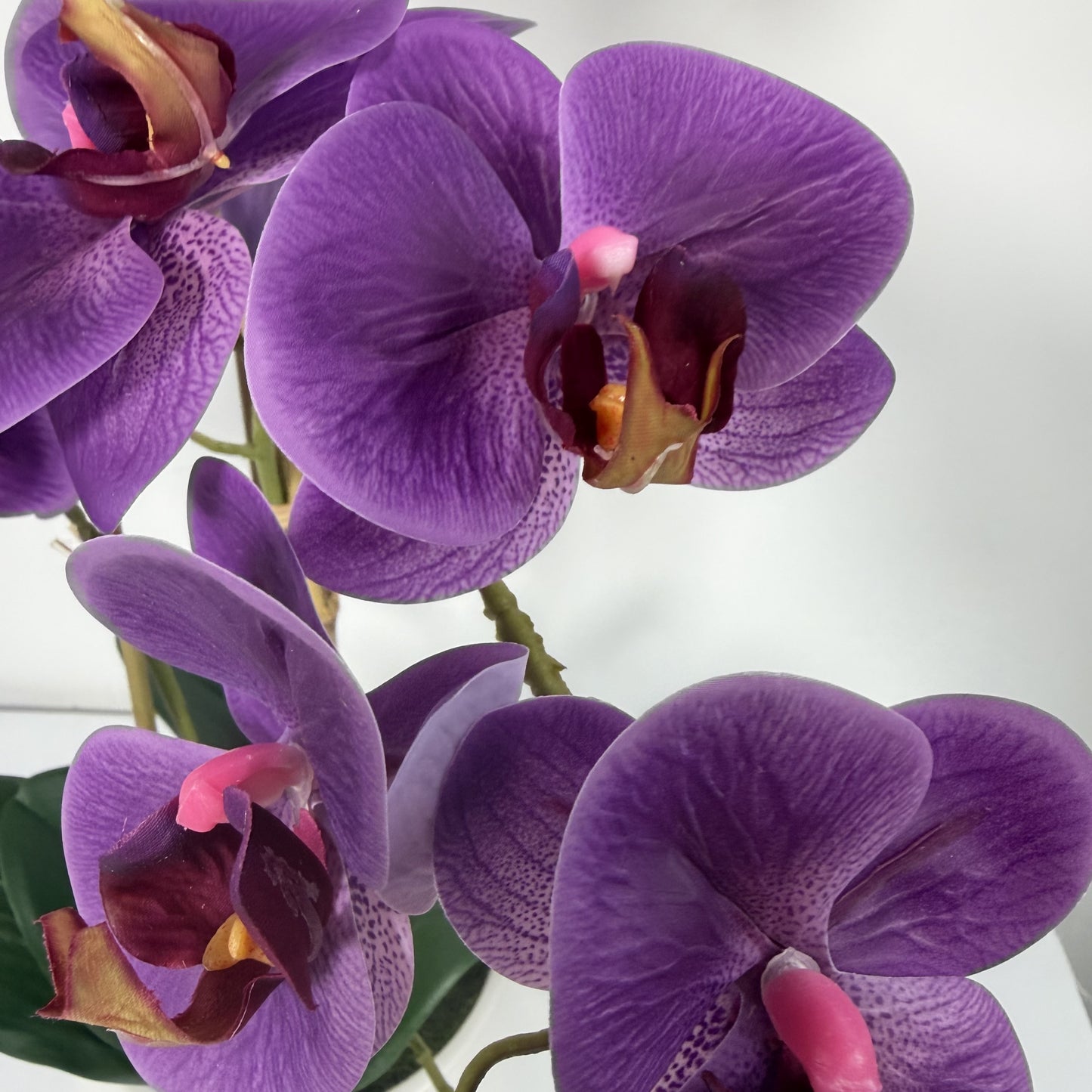 Orchid Real Touch in white vase