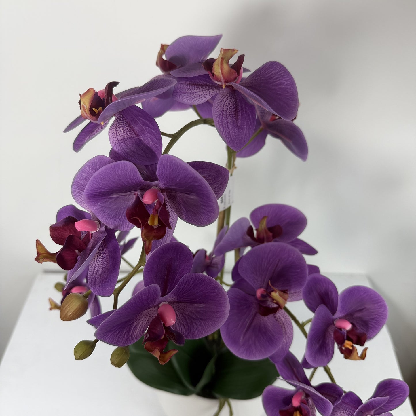 Orchid Real Touch in white vase