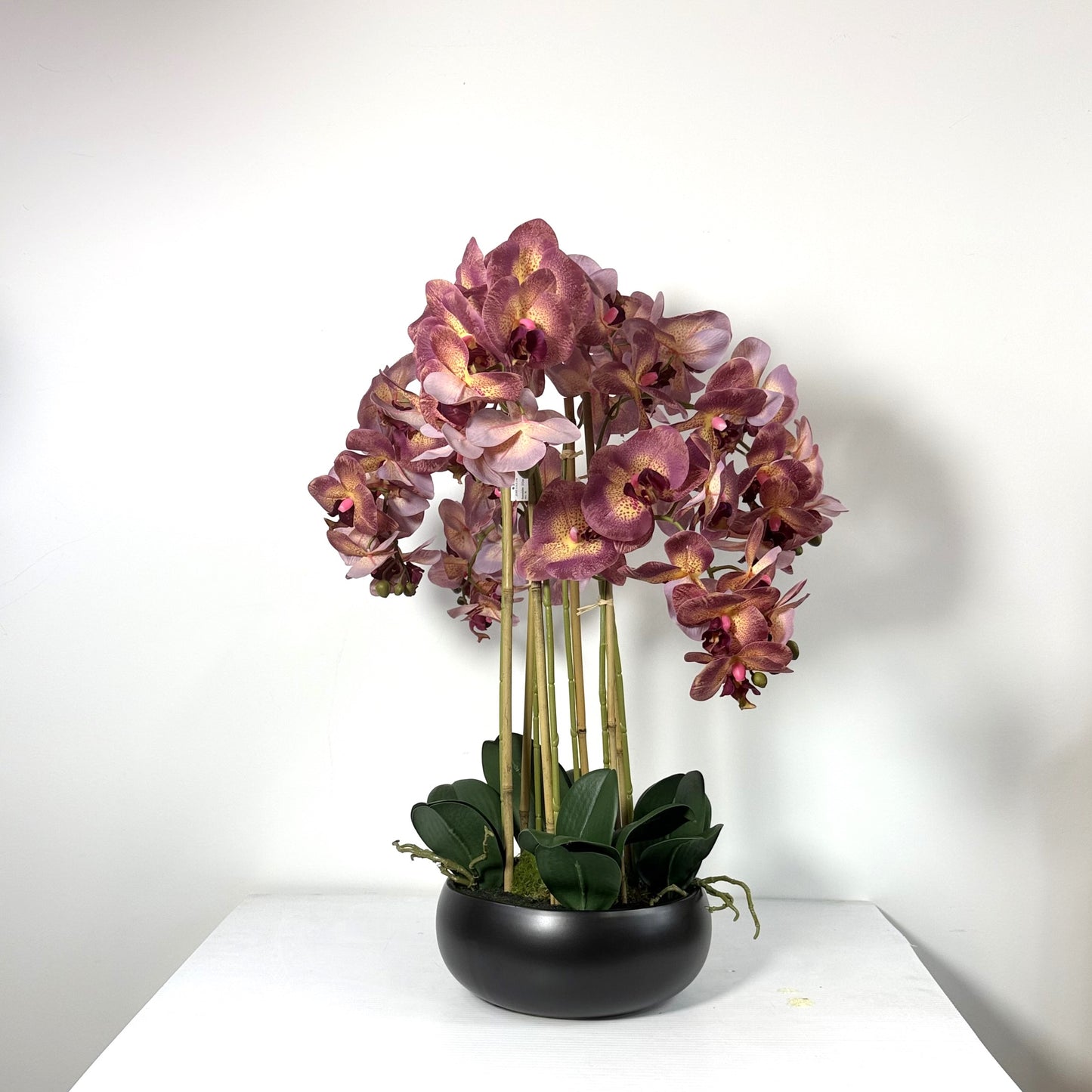 Orchid Real Touch Modern planter