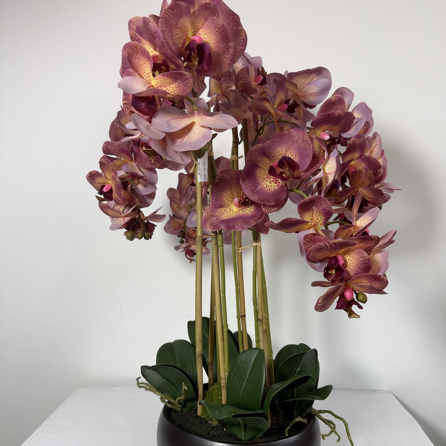 Orchid Real Touch Modern planter