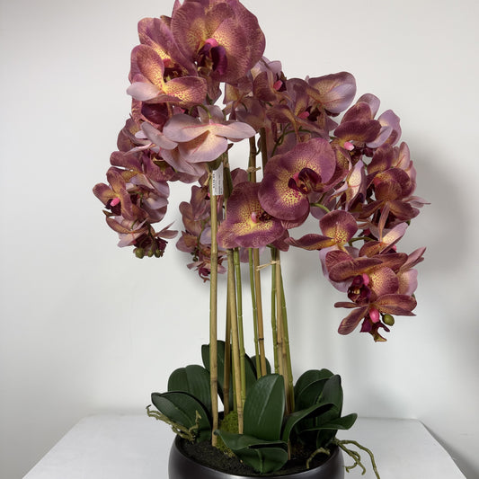 Orchid Real Touch Modern planter