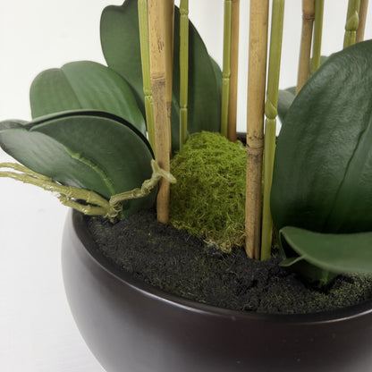 Orchid Real Touch Modern planter