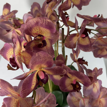 Orchid Real Touch Modern planter