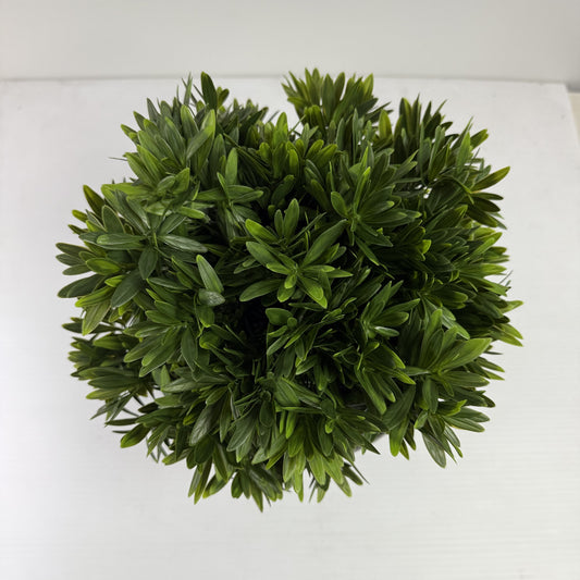 Riviera ball large 16"