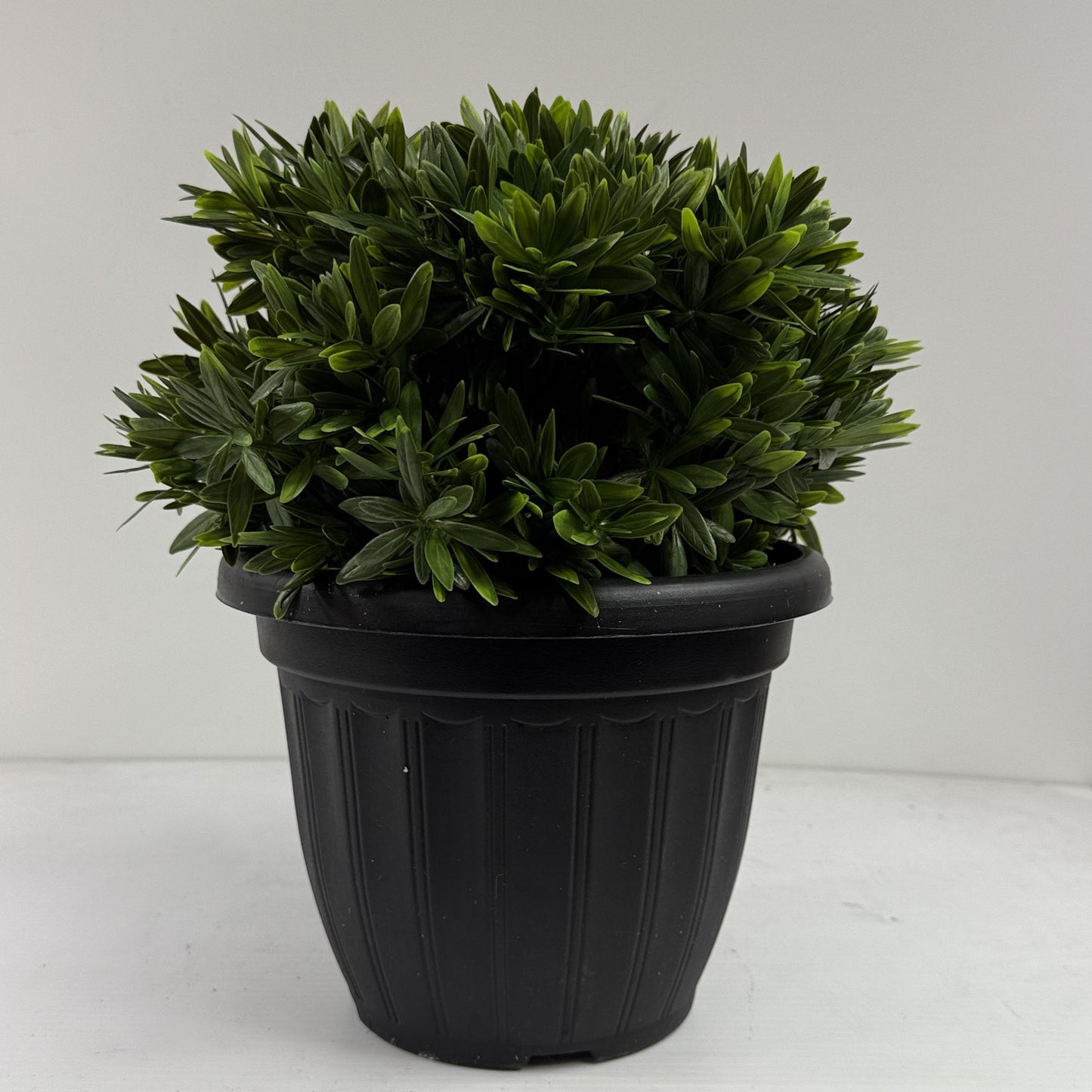 Riviera ball large 16"
