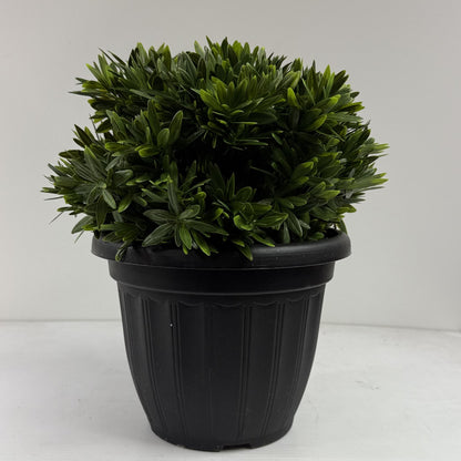Riviera ball large 16"