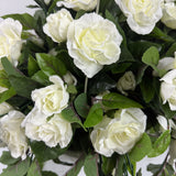 Rose flowering basket UV