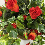 Rose ivy hanging basket in moss hanger