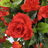 Rose flowering basket UV