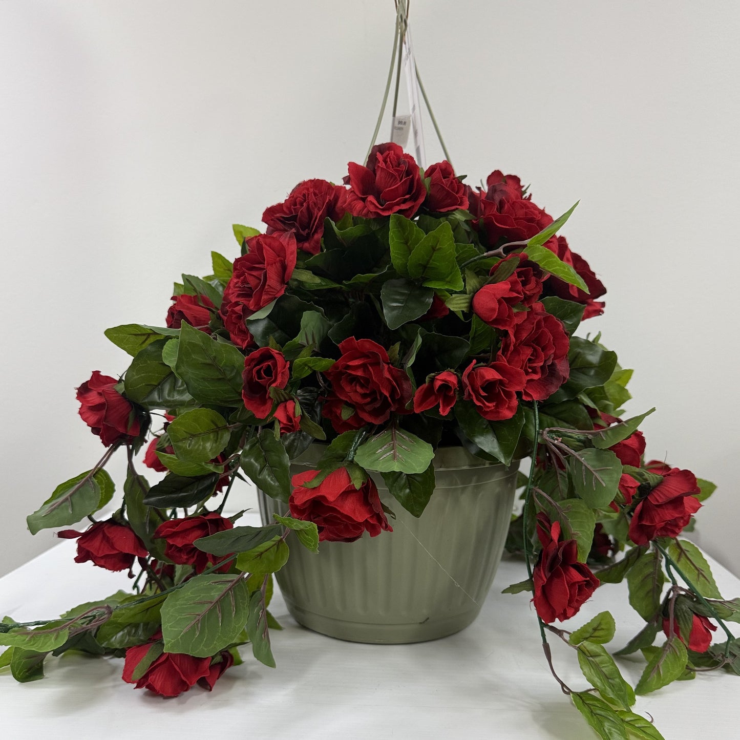 Rose flowering basket UV