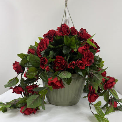 Rose flowering basket UV