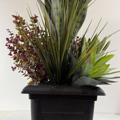 Serpentina Sansevieria insert 10"