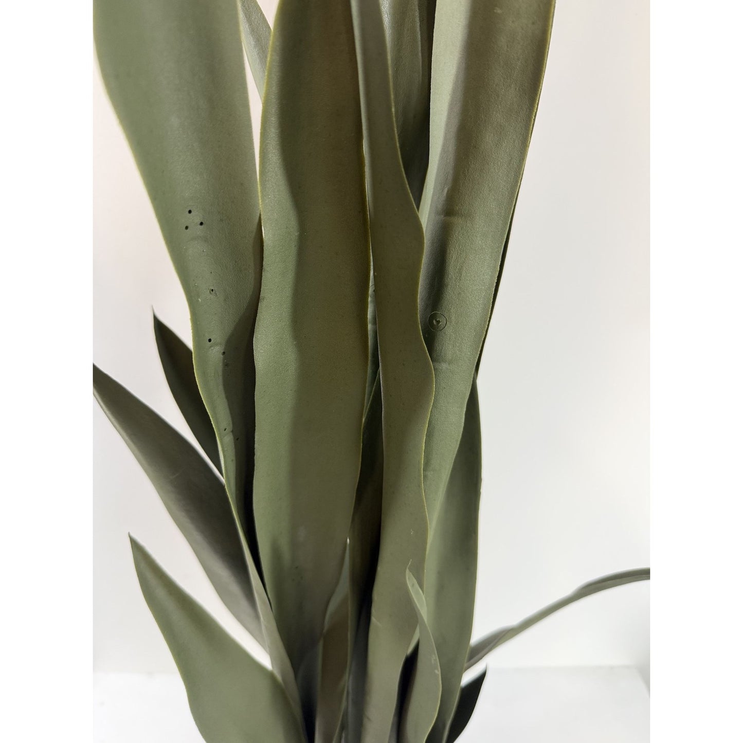 Snake plant potted 38 " dark green