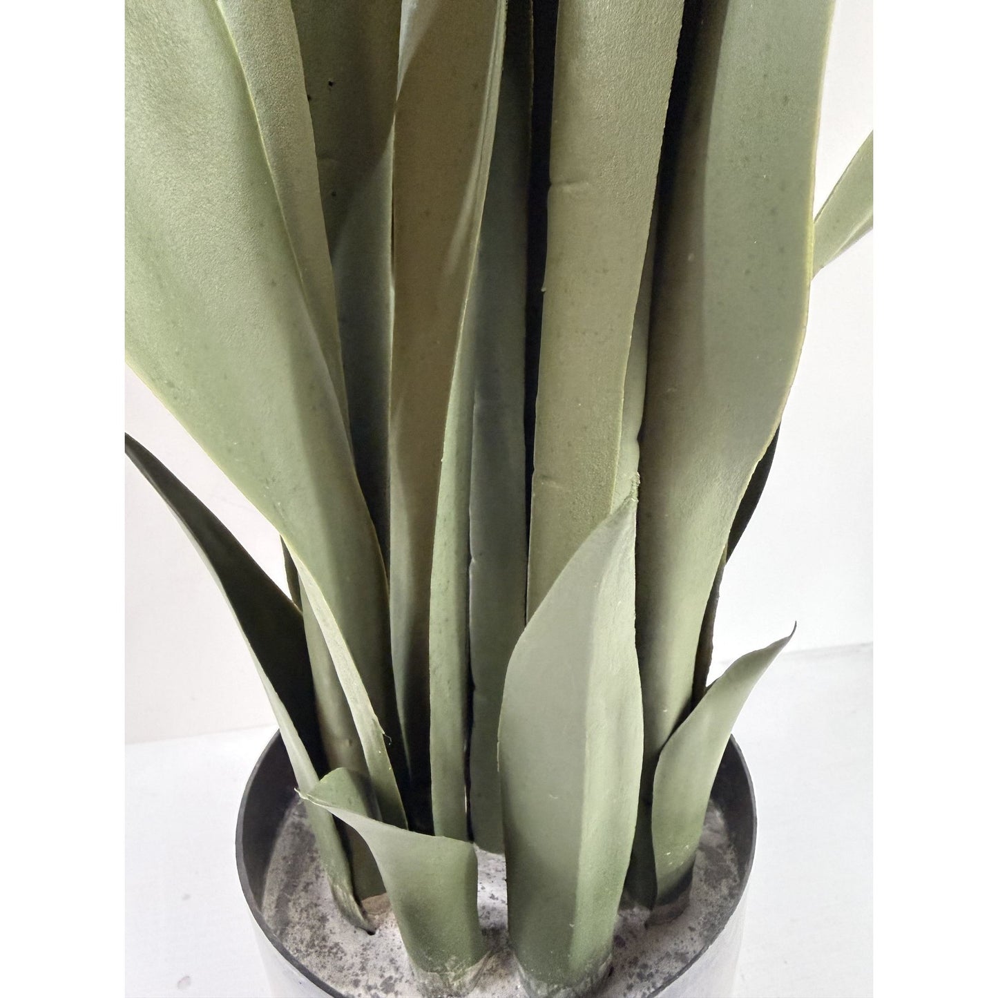 Snake plant potted 38 " dark green