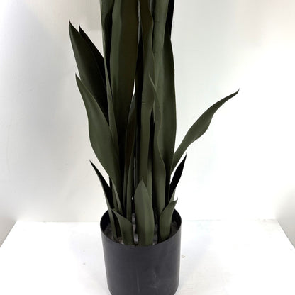 Snake plant potted 38 " dark green