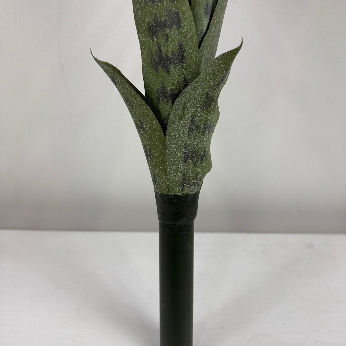 Snake plant potted 38 " dark green