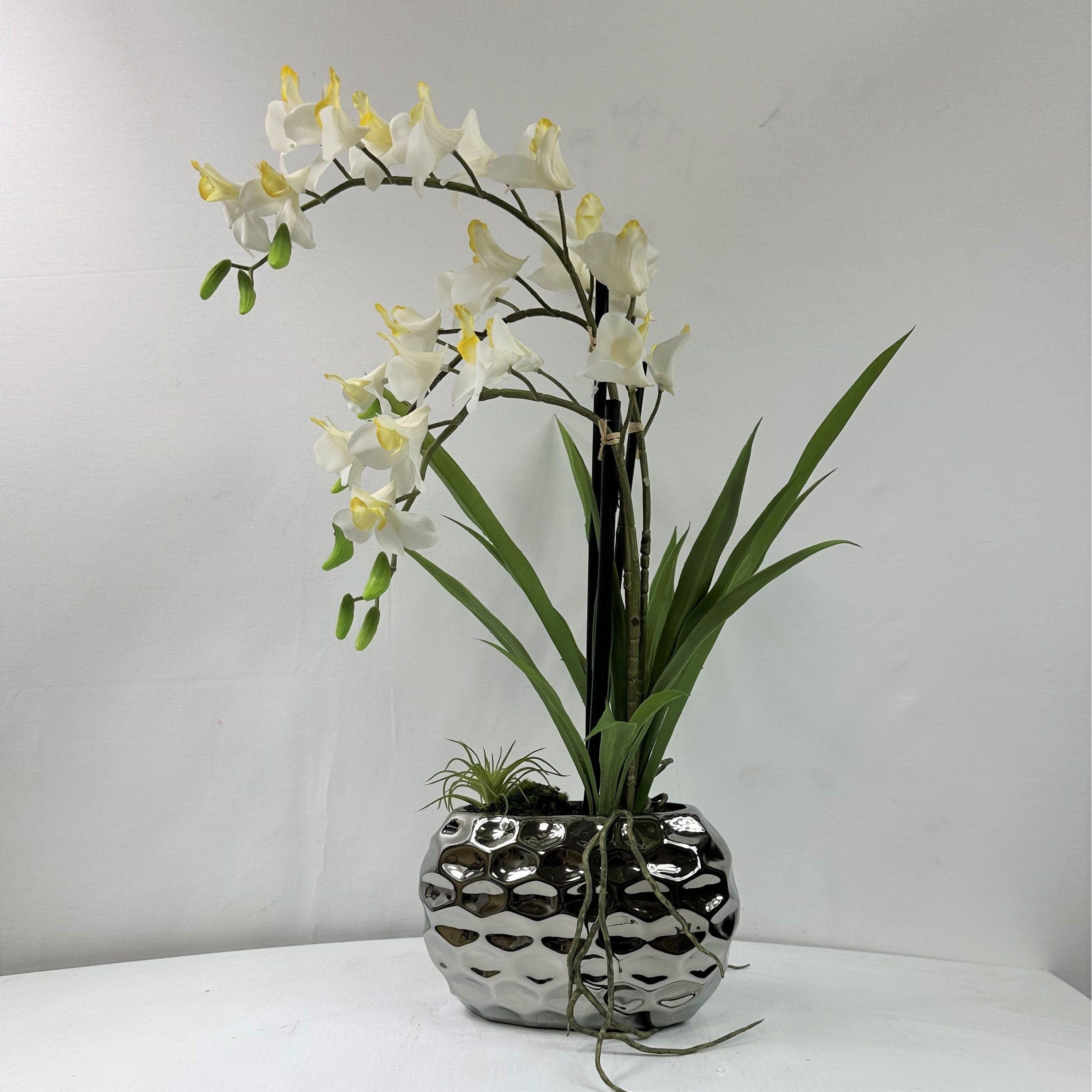 Dendrobium Orchid X 3 in silver vase