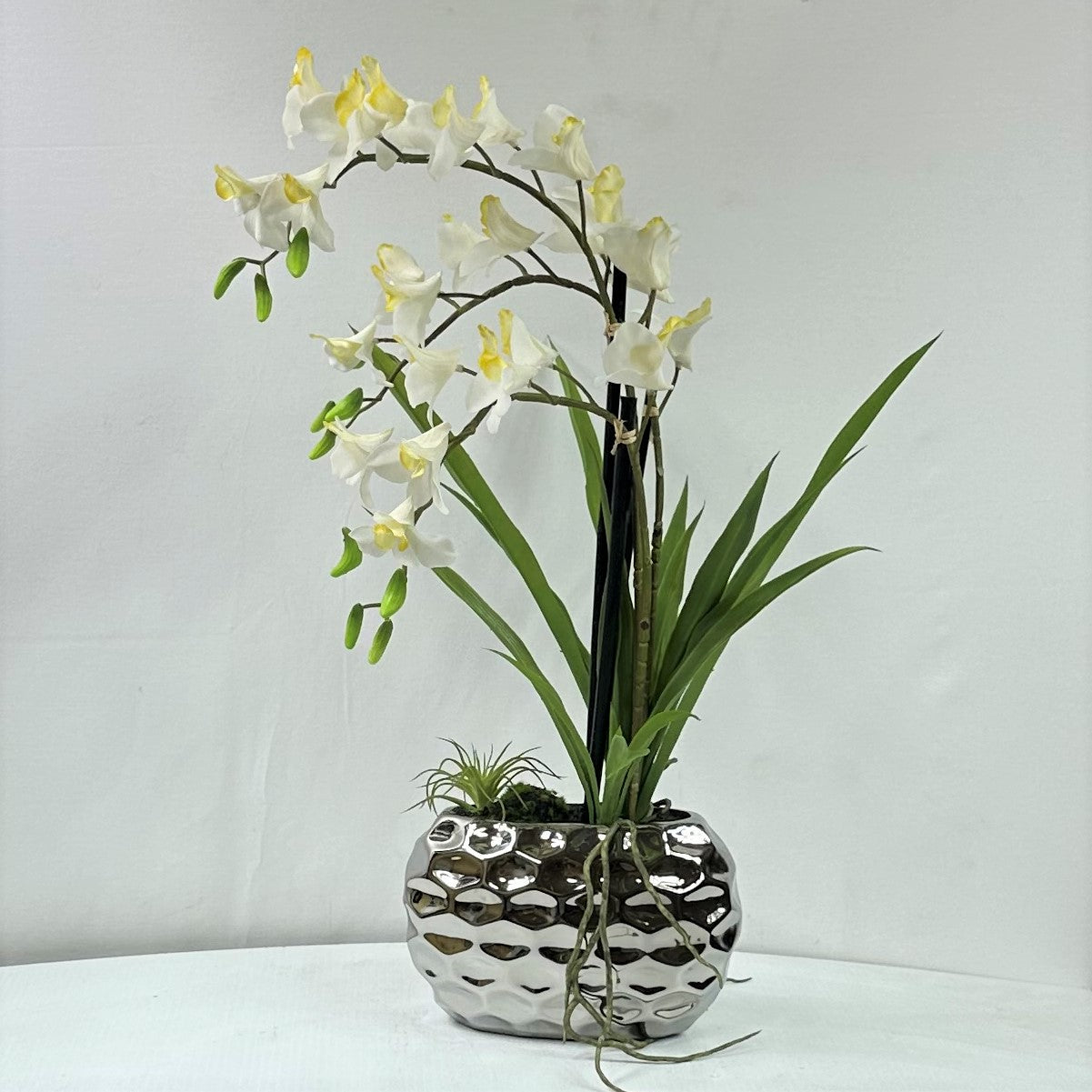 Dendrobium Orchid X 3 in silver vase