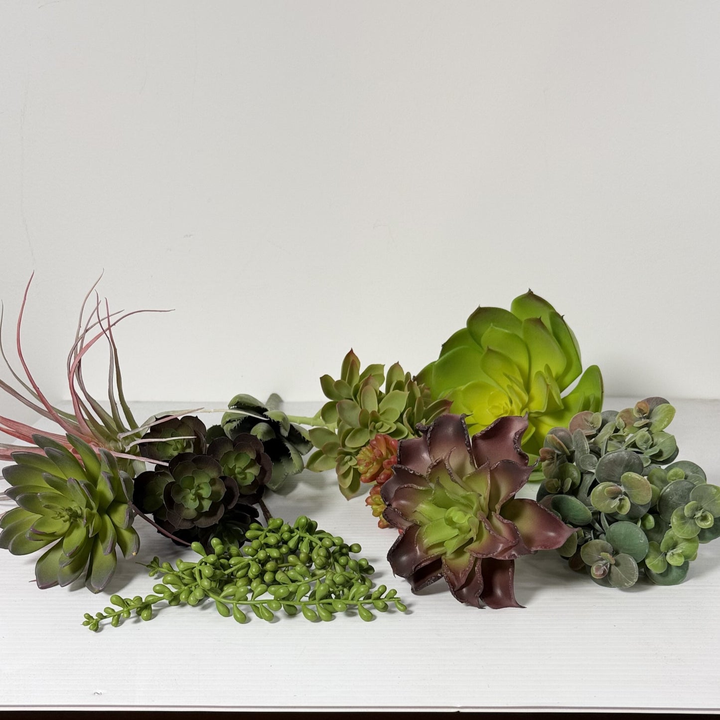 Succulent Deluxe Starter Kit. 10 Plants