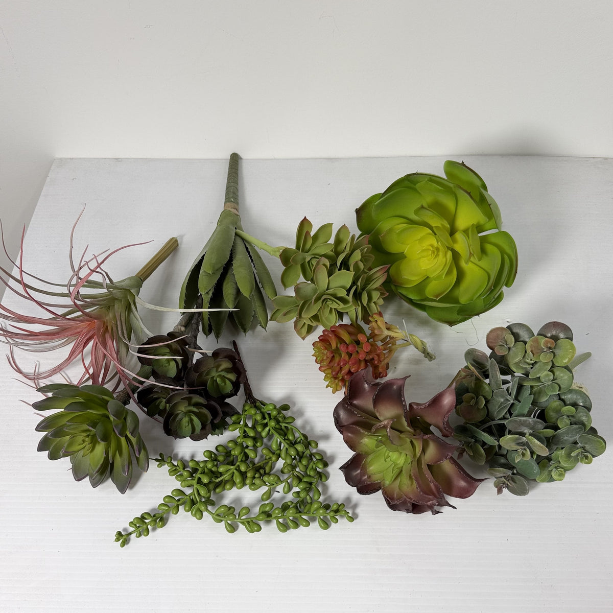 Succulent Deluxe Starter Kit. 10 Plants